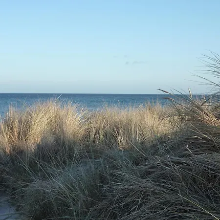 Seemaus Dahme (Schleswig-Holstein)